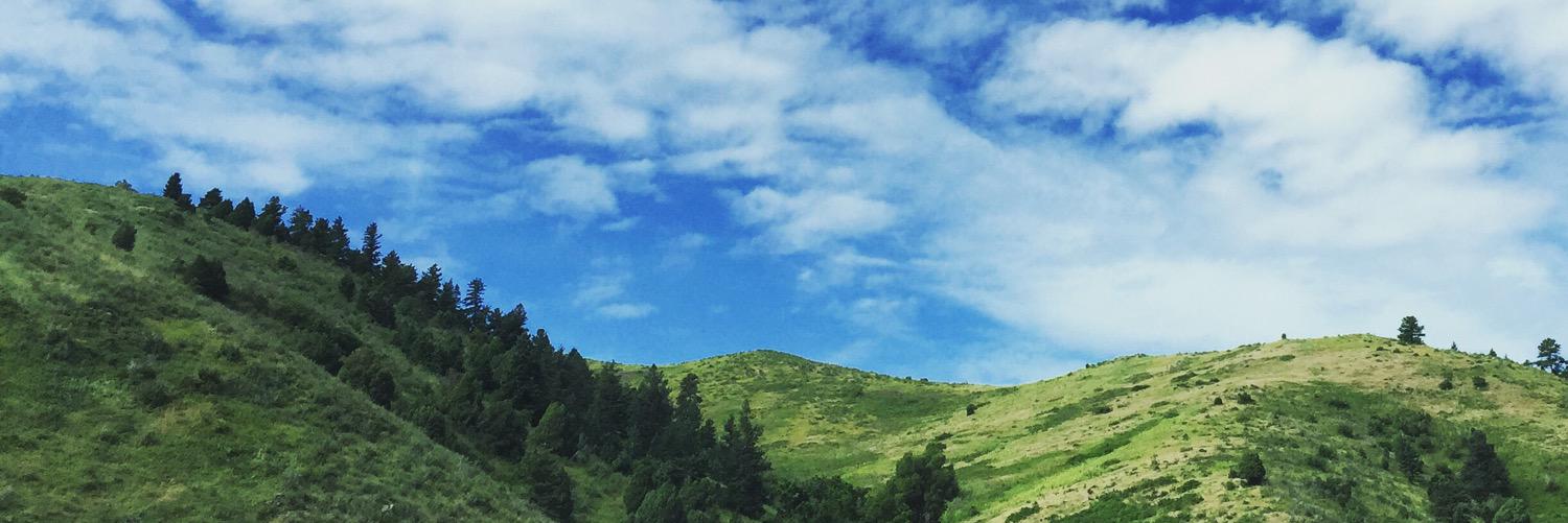 shephardux's profile banner image
