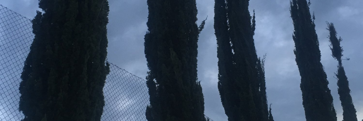 myeggs_'s profile banner image