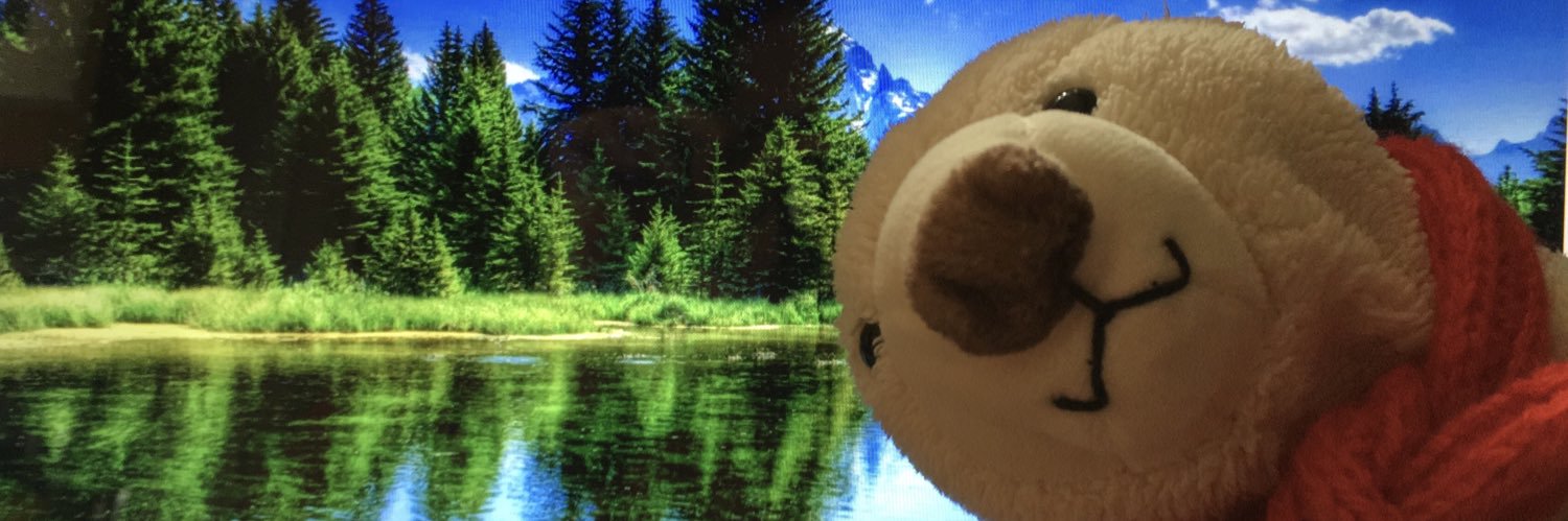 Uillybert's profile banner image