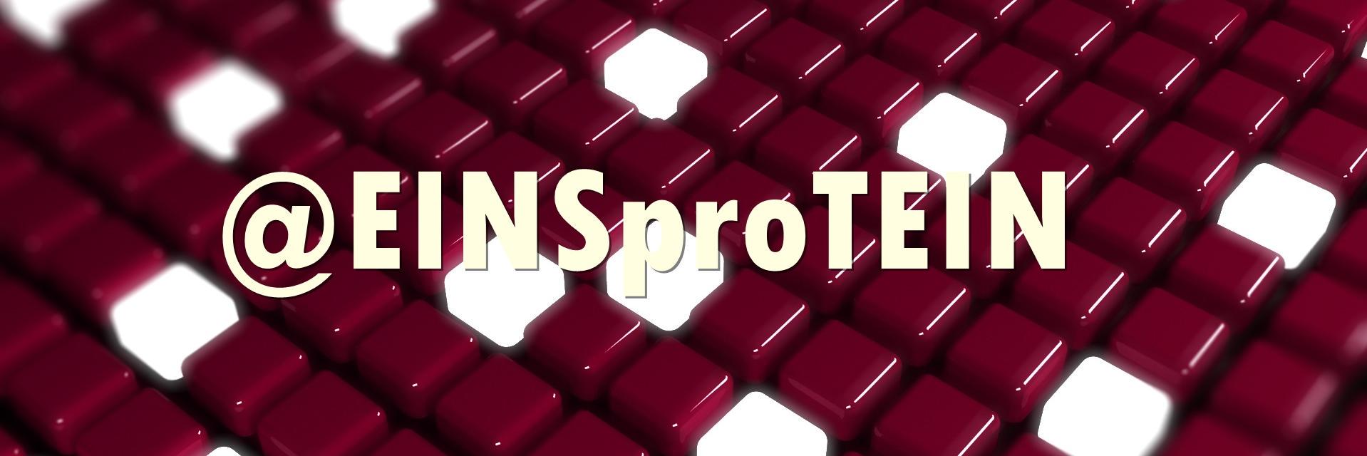 EINSproTEIN's profile banner image