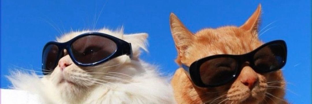 Ezgi_Polatt's profile banner image