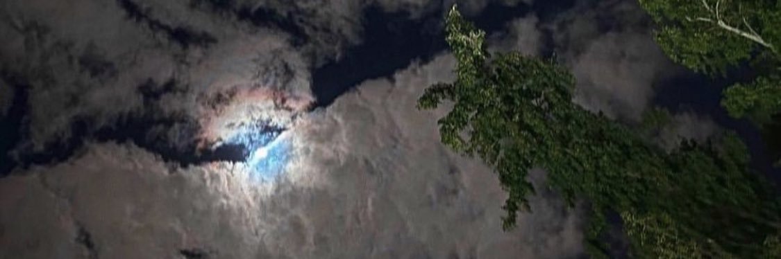 p_65's profile banner image