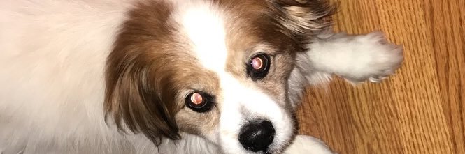 calliemartinn's profile banner image
