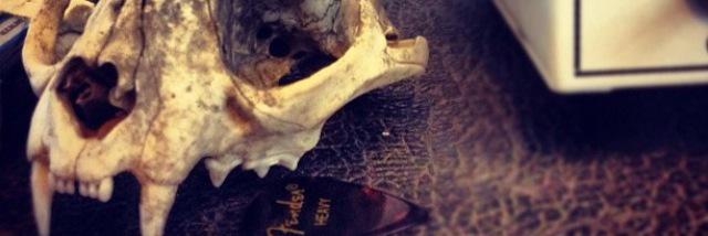 CatchHell666's profile banner image