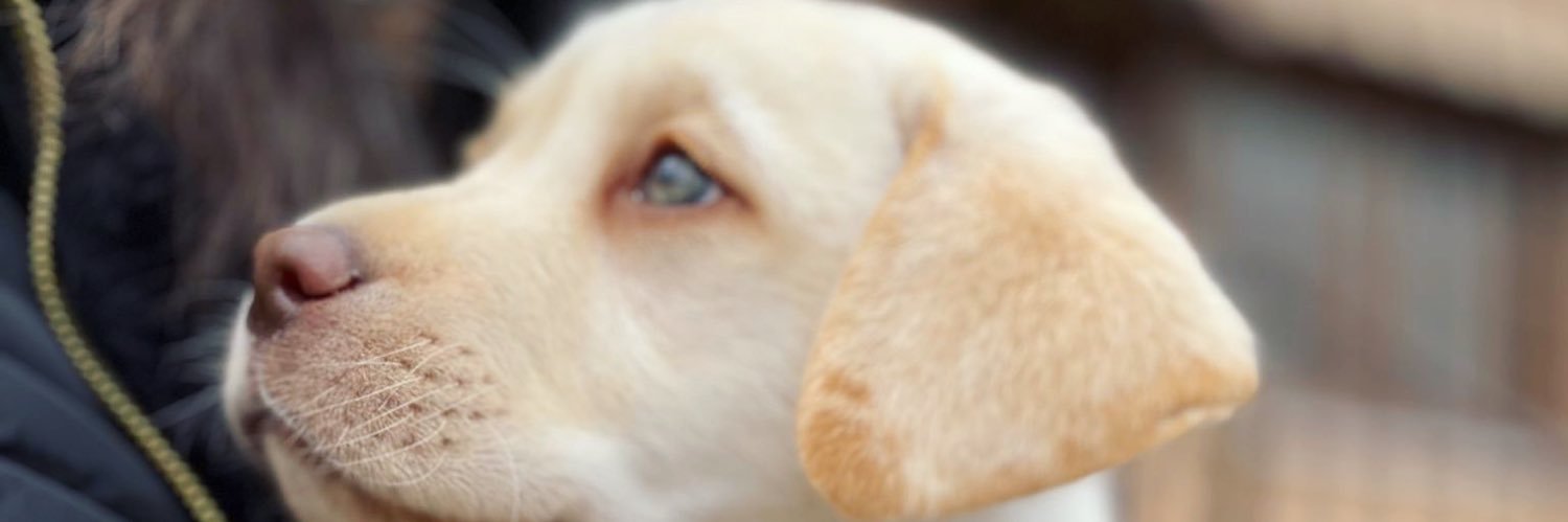 FinsAlInfinit4's profile banner image