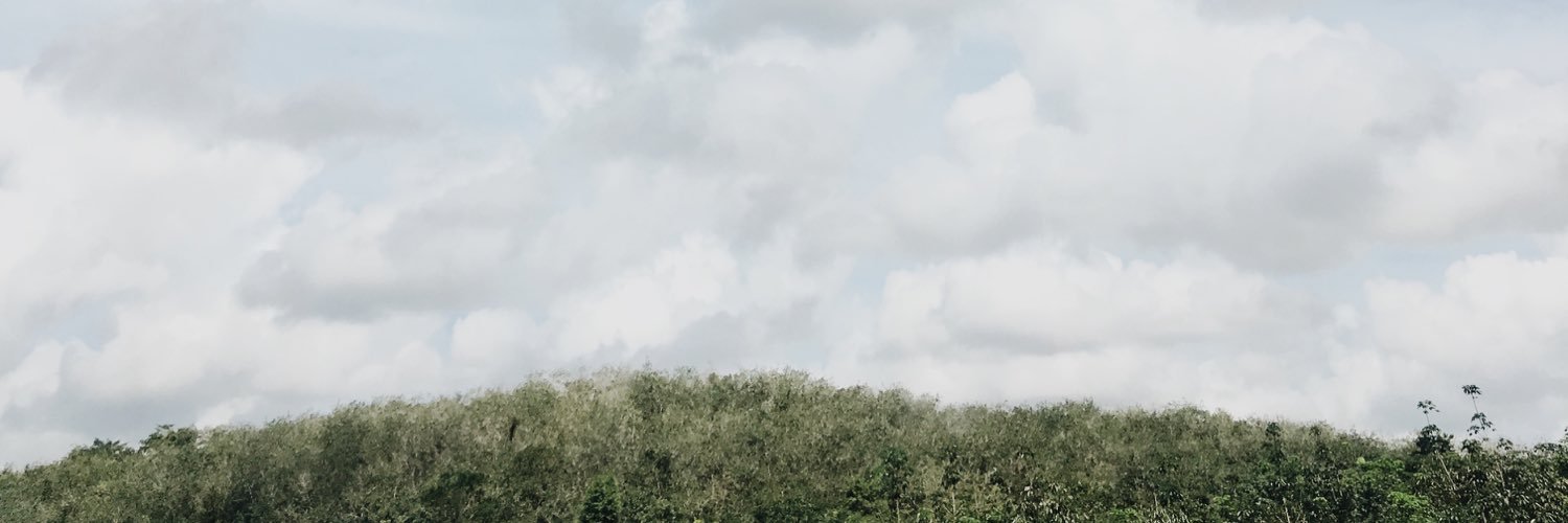 IzranRusli's profile banner image
