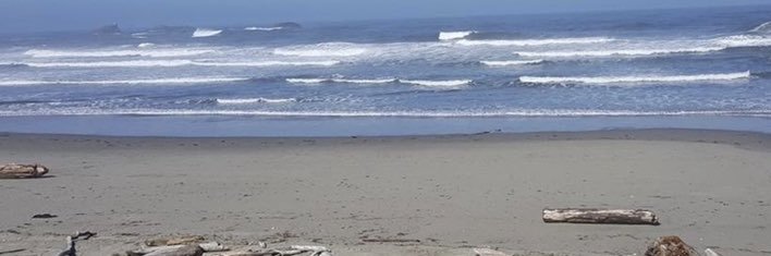 poc565's profile banner image