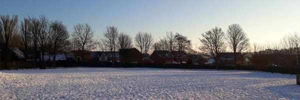 st_primary Profile Banner