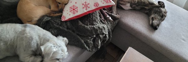 DoTheMoses Profile Banner