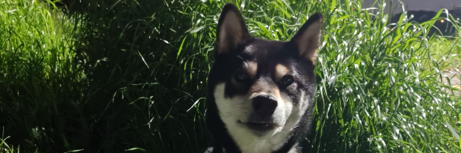 alxeight's profile banner image