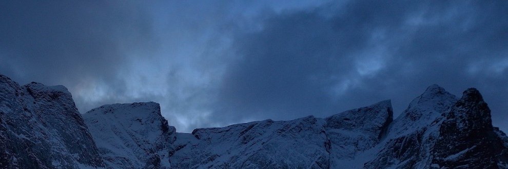 NavXBT's profile banner image