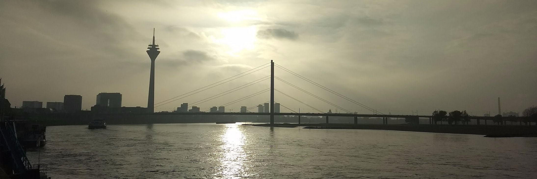 Norbert D. Frank banner