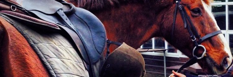 afafalsaud's profile banner image