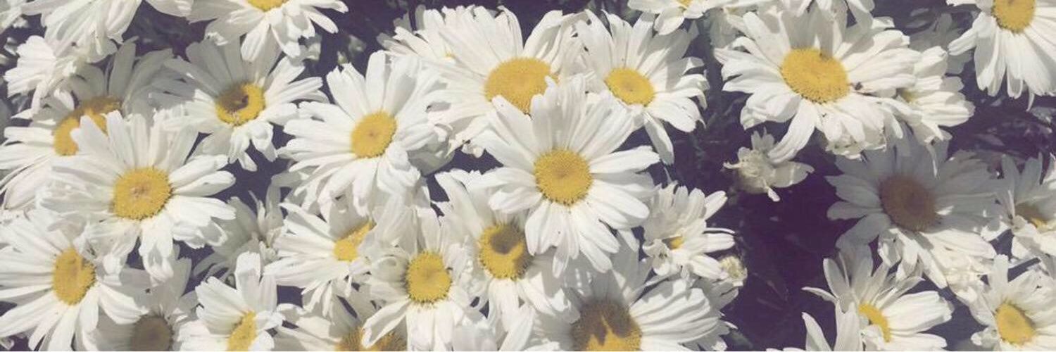 DeissyDL_'s profile banner image