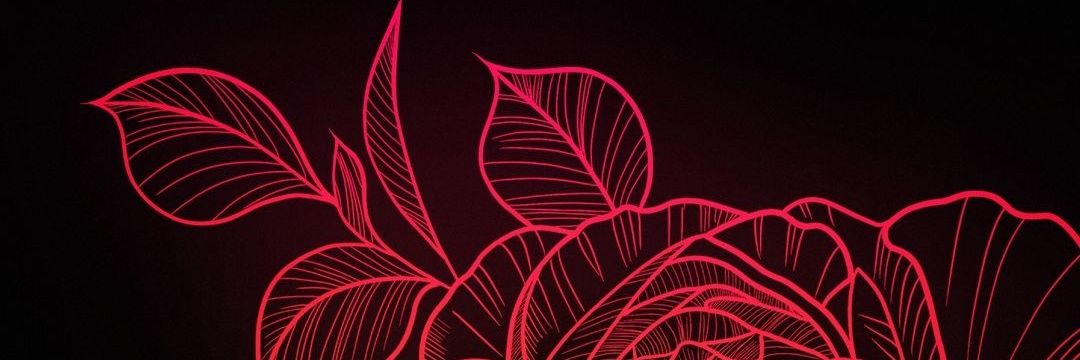 Castudlb's profile banner image