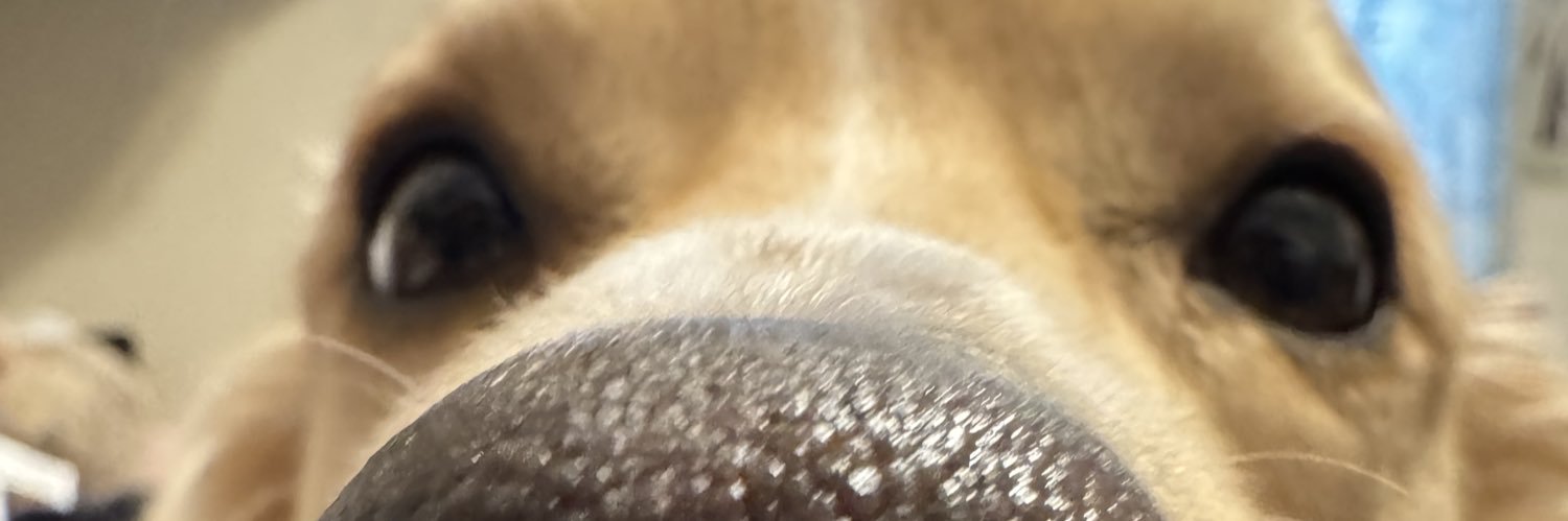 _rubyuwu_'s profile banner image