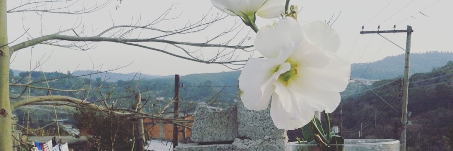 Garota_Cii's profile banner image
