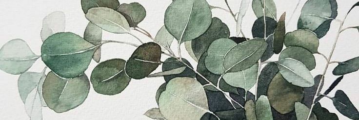 iamdanieri's profile banner image