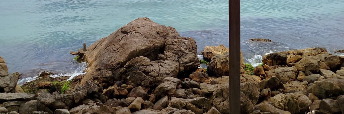 jcarusini's profile banner image