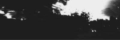 Harry. banner