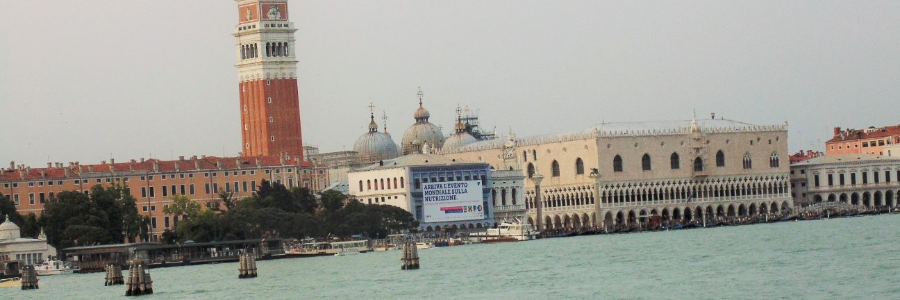 tpedalty25's profile banner image