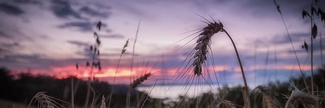 oyekeyusu's profile banner image