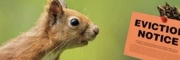 twittyhilster Profile Banner