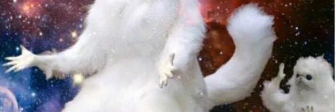 xCLORDx's profile banner image