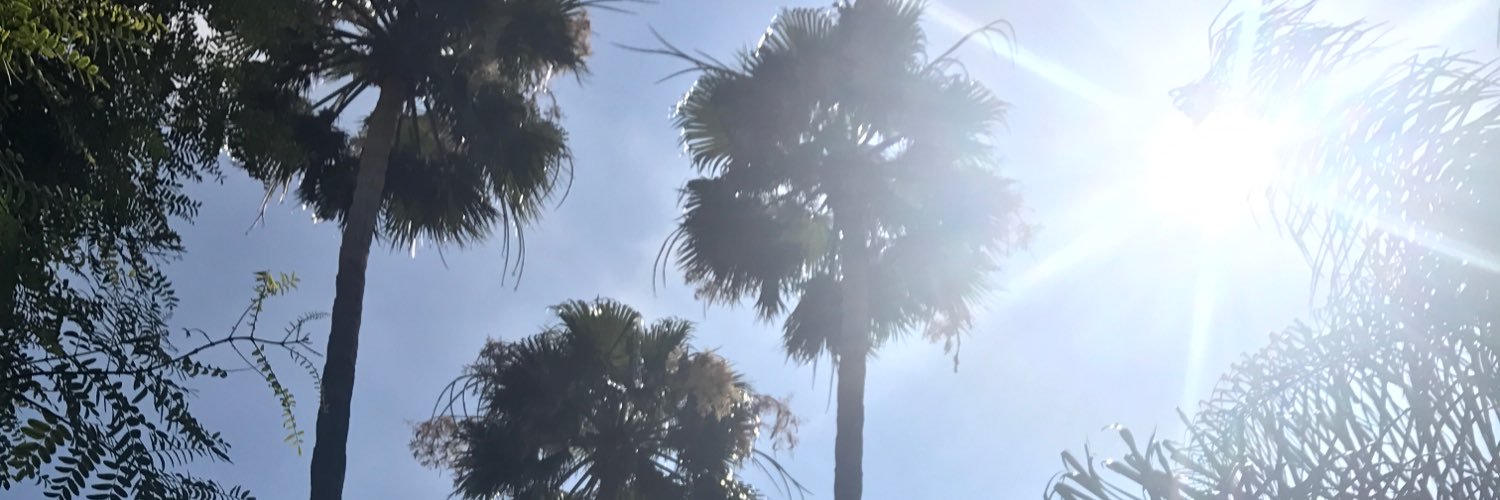 kaitmag101's profile banner image