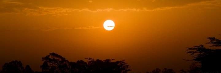 michaeldimmo's profile banner image