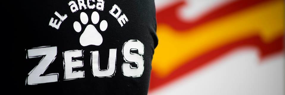 elarcadezeus's profile banner image