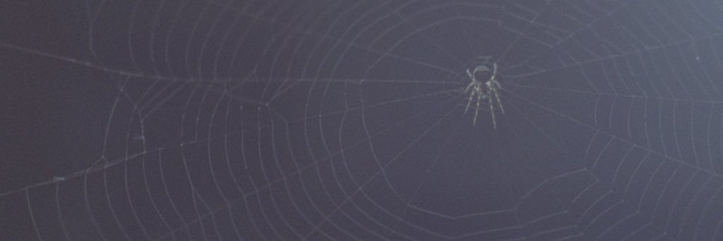 𝕵𝖔𝖍𝖓𝖓𝖞 𝕲𝖔𝖙𝖍💀 banner