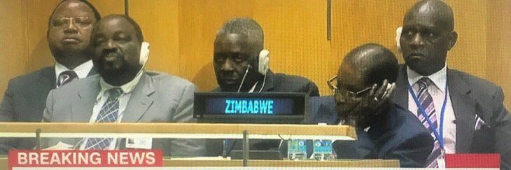 Y'all Plate Don't Be Having Greens banner