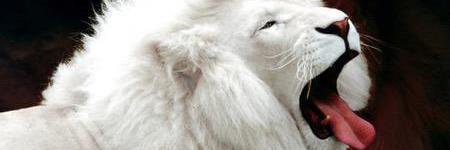 TiTaNiUm4-22Ⓥ™ banner