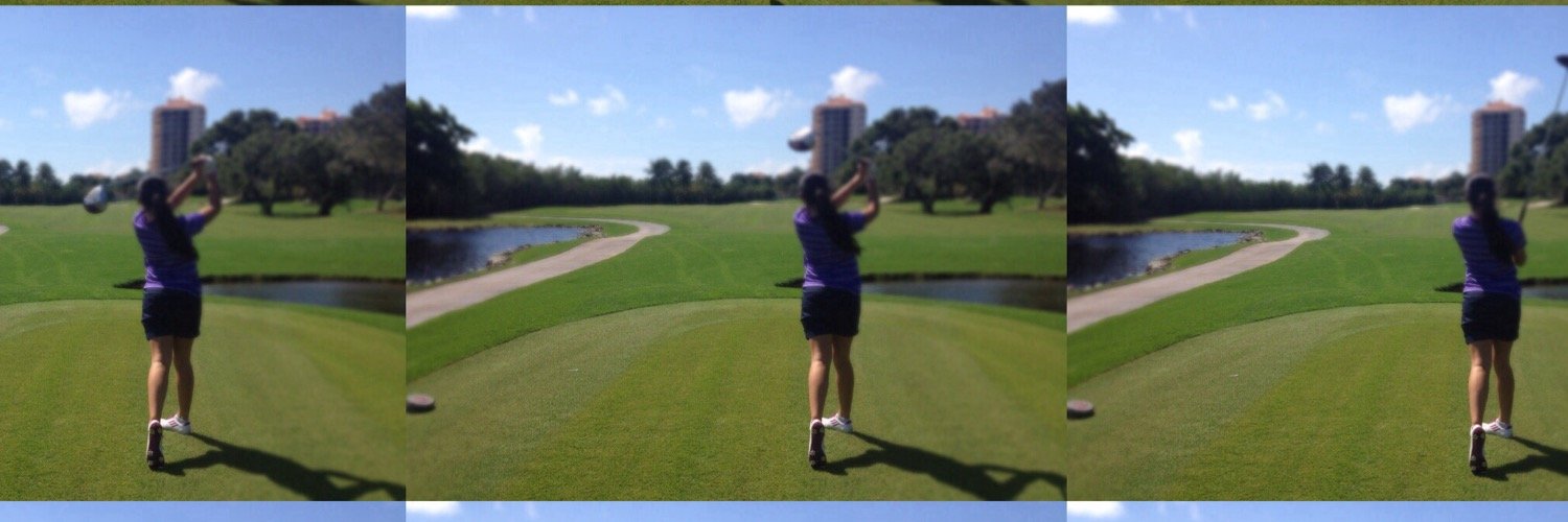 Livia Stanger banner