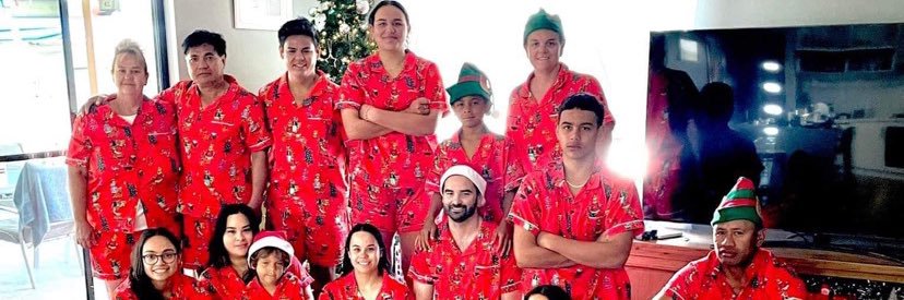 Beerse McDragonSlayer banner