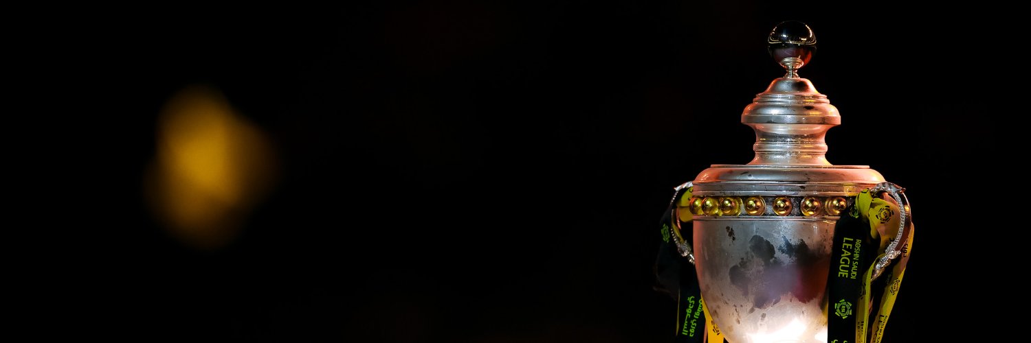 دوري روشن السعودي's banner
