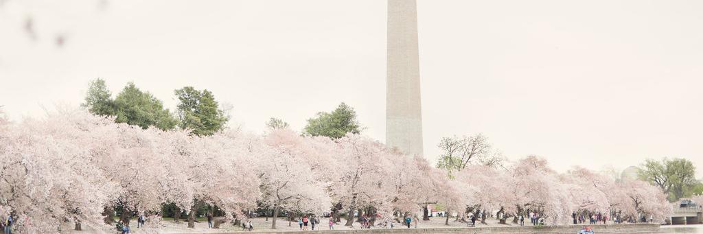 Kathryn Miller banner