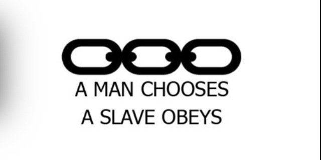 Kevinsodis's profile banner image