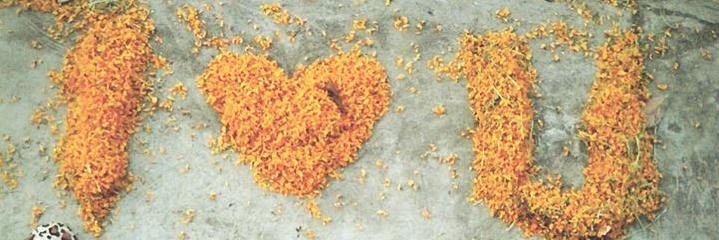 edrin29_angel's profile banner image