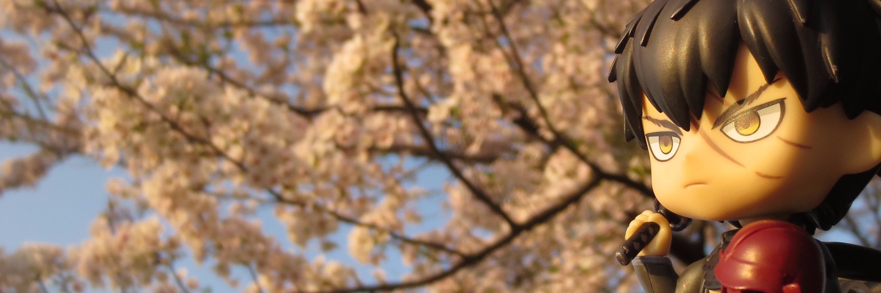 .｡:*+゜桜羅sakura｡.*:+ banner