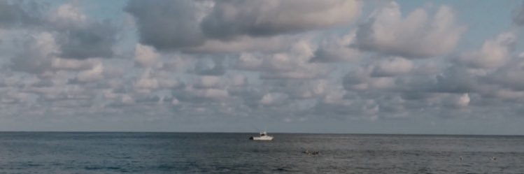 y_alin's profile banner image