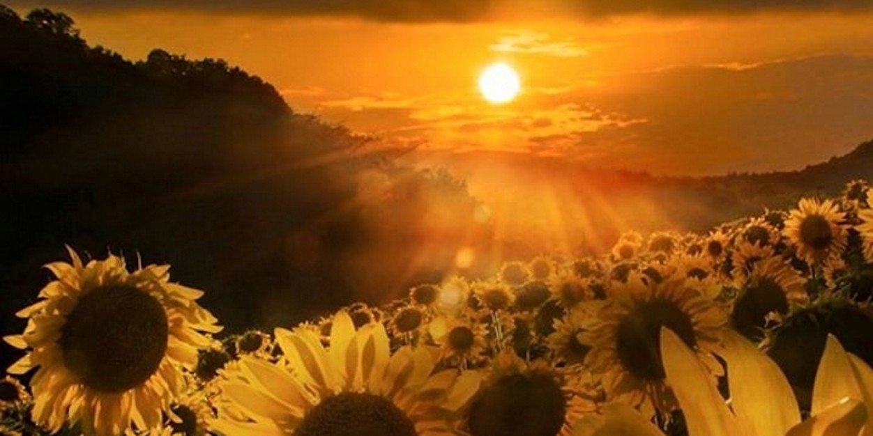 crdesigne's profile banner image