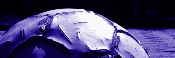 CESDE_CHILE's profile banner image