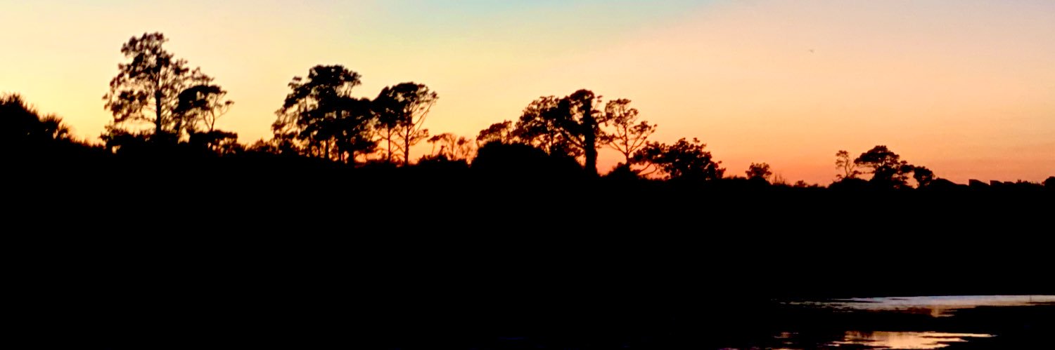 Les_Carnegie's profile banner image