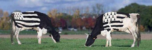 Agri Bretagne banner