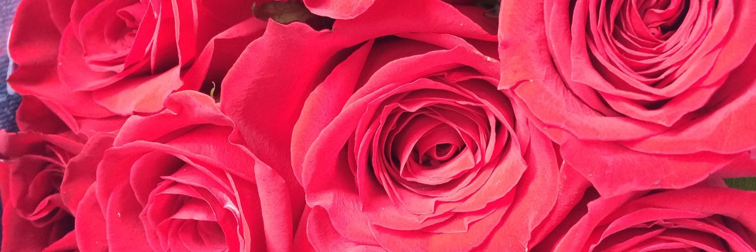 PriscyArmijos's profile banner image