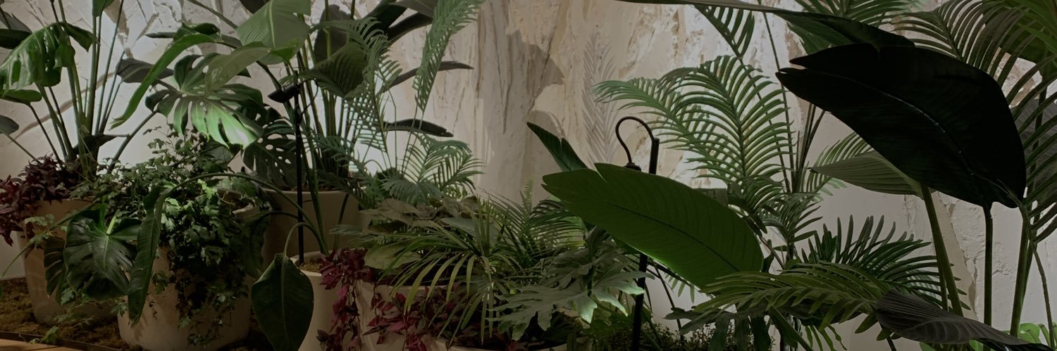 AgusAris_'s profile banner image