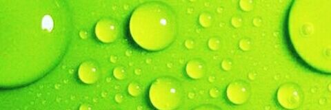 Frugality4Life banner