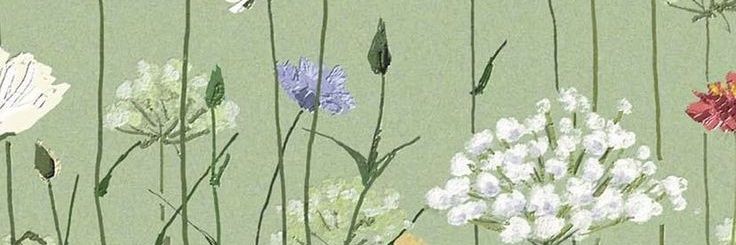 zibra_78's profile banner image